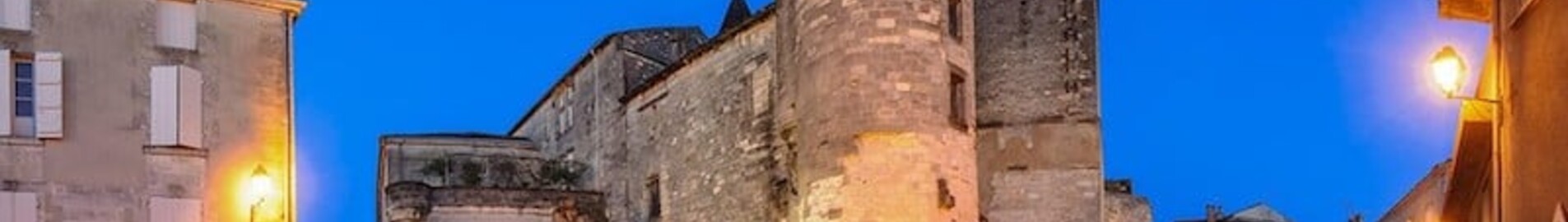Cognac Châteaubernard: aluguel de jatos particulares 