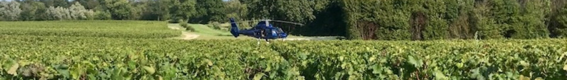 Descubra os vinhedos de helicóptero