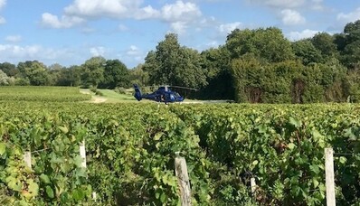 Descubra os vinhedos de helicóptero
