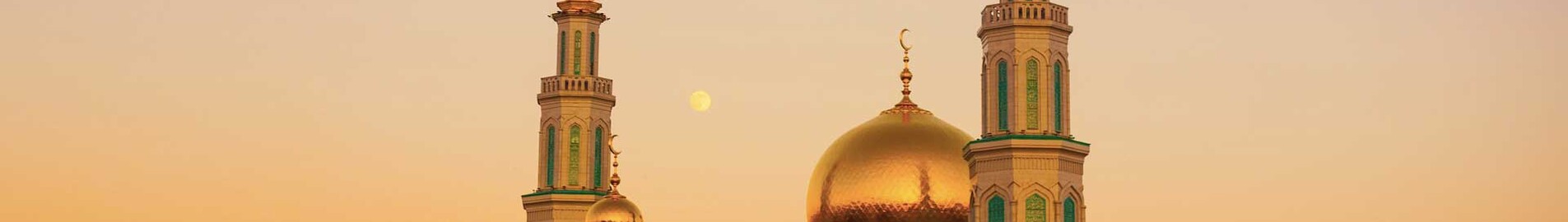 Paris - Moscou: aluguel de jato particular