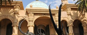 Joanesburgo: aluguel de jatos particulares 