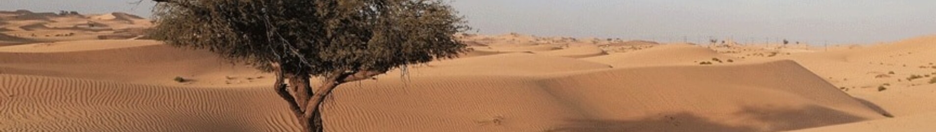 Abu Dhabi: aluguel de jatos particulares 