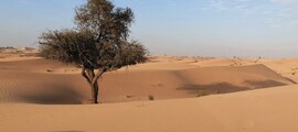 Aeroporto Internacional do Bahrein: aluguel de jatos particulares
