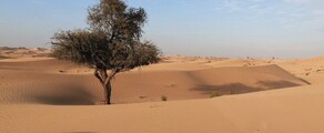 Abu Dhabi: aluguel de jatos particulares 