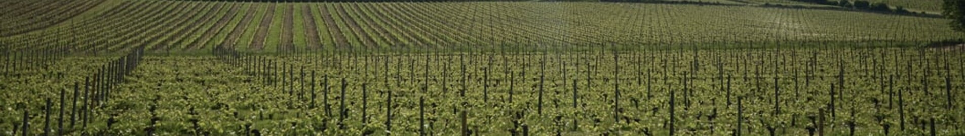 Bordeaux Mérignac: aluguel de jatos particulares 