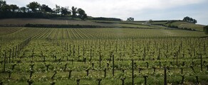 Bordeaux Mérignac: aluguel de jatos particulares 