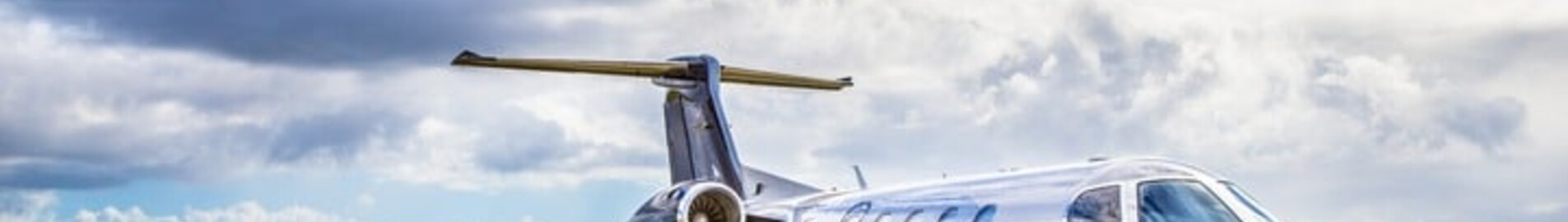 NetJets : companhia aérea