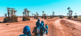 Aluguel de jatos particulares e helicópteros em Dakhla