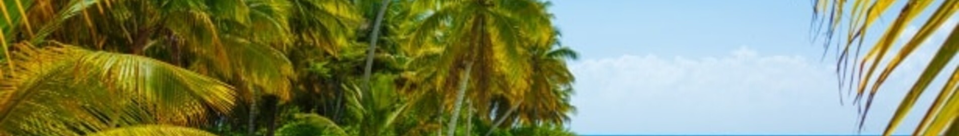 Caribe: aluguel de jatos particulares 