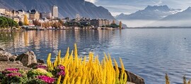 Genebra - Gstaad: aluguel de jatos particulares