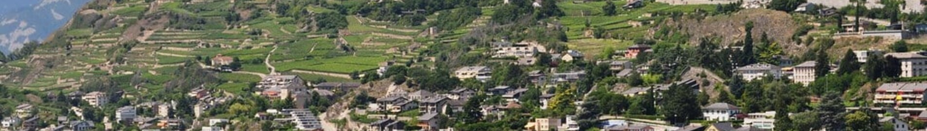 Sion: aluguel de jatos particulares 