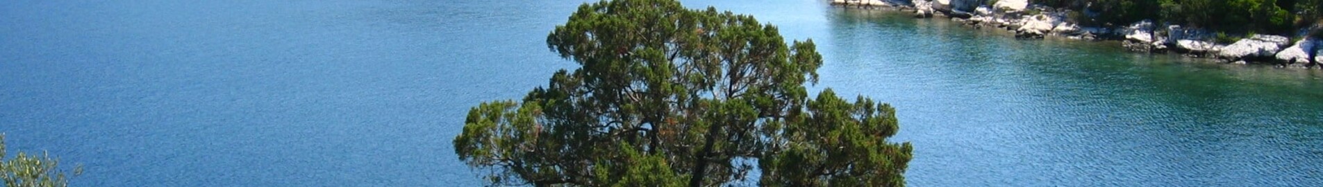 Mljet: aluguel de jatos particulares 