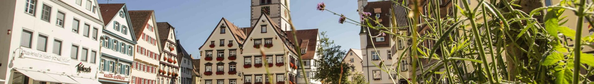 Biberach An Der Riss: aluguel de jatos particulares 