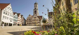 Neuhausen Ob Eck: aluguel de jatos particulares 