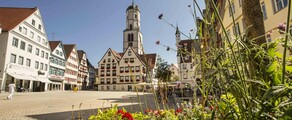 Biberach An Der Riss: aluguel de jatos particulares 