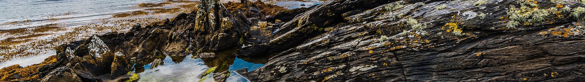 Donegal: aluguel de jatos particulares 