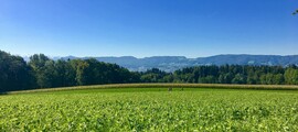 Skovde : aluguel de jatos particulares