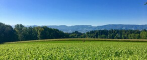 Dubendorf: aluguel de jatos particulares 