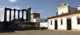 Comporta: aluguel de jatos particulares