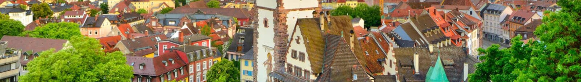 Freiburg-en-Brisgau: aluguel de jatos particulares 
