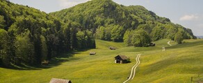 Granges: aluguel de jatos particulares 