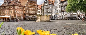 Hildesheim: aluguel de jatos particulares 