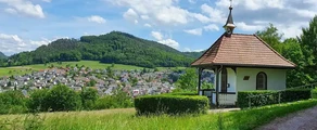 Lahr Black Forest: aluguel de jatos particulares 