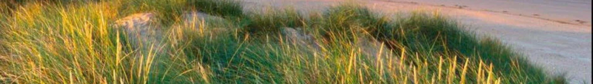 Pembrey: aluguel de jatos particulares 