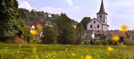 Aalen Elchingen: aluguel de jatos particulares 
