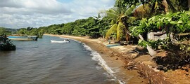 Mananara Avaratra : aluguel de jatos particulares 