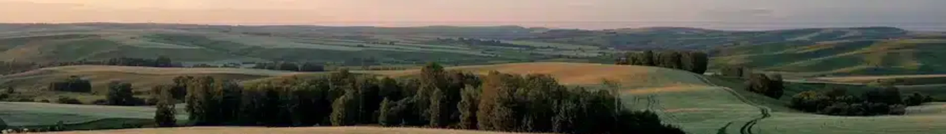 Barnaul: aluguel de jatos particulares