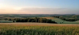 Abakan: aluguel de jatos particulares 
