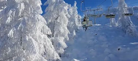Ljubljana: aluguel de jatos particulares 
