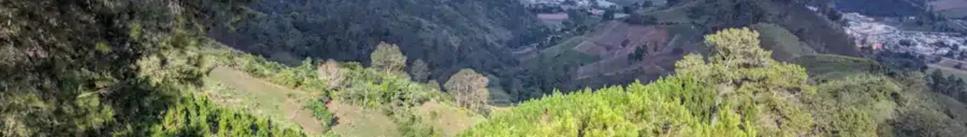 Constanza: aluguel de jatos particulares