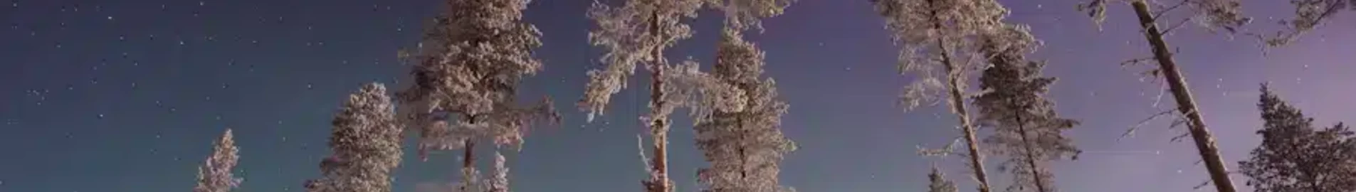Gallivare Lapland: aluguel de jatos particulares