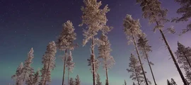 Linkoping Malmen: aluguel de jatos particulares