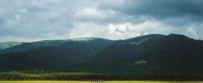 Gelendzhik: aluguel de jatos particulares