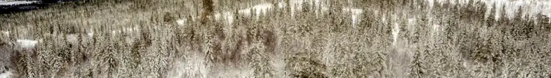Hagfors: aluguel de jatos particulares