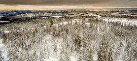 Hultsfred: aluguel de jatos particulares