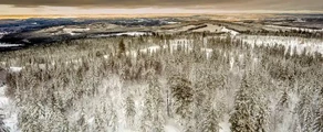 Hagfors: aluguel de jatos particulares