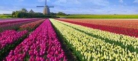 Eindhoven: aluguel de jatos particulares 