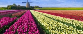 Hoogeveen: localização de jatos particulares