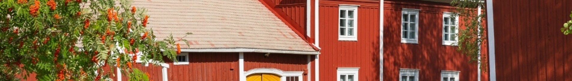 Kauhajoki : aluguel de jatos particulares 