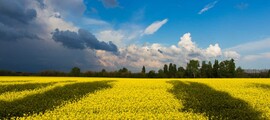 Ivano-frankovsk: aluguel de jatos particulares