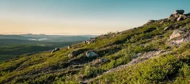 Landskrona Viarp: aluguel de jatos particulares