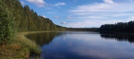 Kitee: aluguel de jatos particulares 