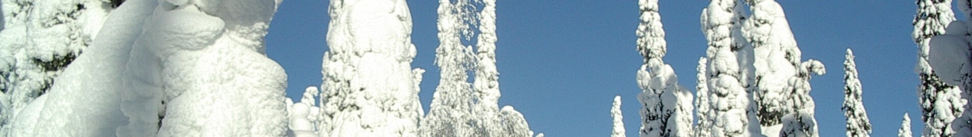 Kuusamo: aluguel de jatos particulares 