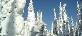Rovaniemi: aluguel de jatos particulares 