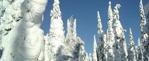 Kuusamo: aluguel de jatos particulares 