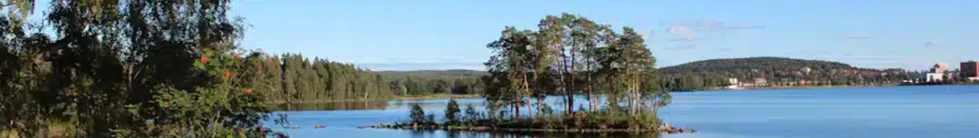 Ludvika: aluguel de jatos particulares